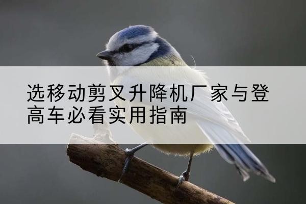 耿马电动升降机厂家-选移动剪叉升降机厂家与登高车必看实用指南