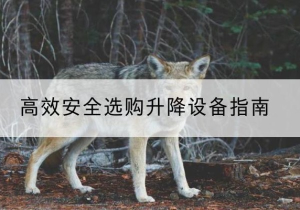 耿马升降货梯厂家推荐-*安全选购升降设备指南