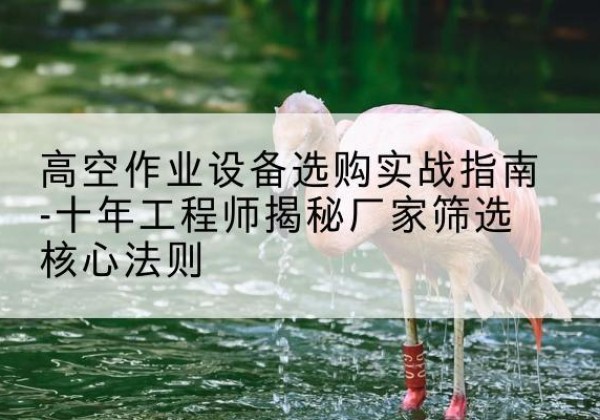 耿马剪叉式升降机厂家-高空作业设备选购实战指南-十年工程师揭秘厂家筛选核心法则